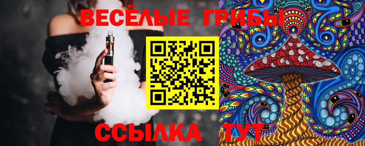 Псилоцибиновые грибы Psilocybine cubensis Алейск