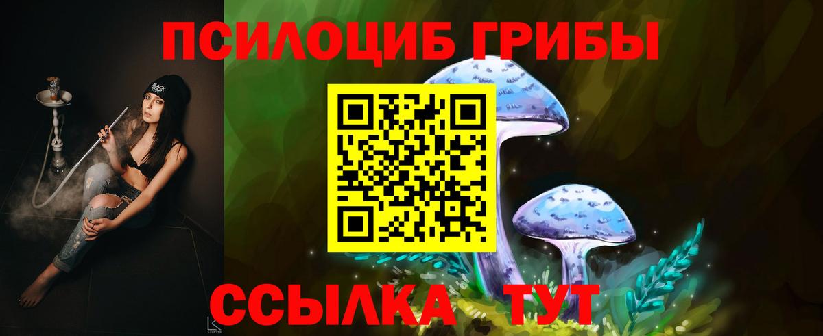 Псилоцибиновые грибы мицелий  Вход с VPN  Псилоцибиновые грибы GOLDEN TEACHER  Алейск 
